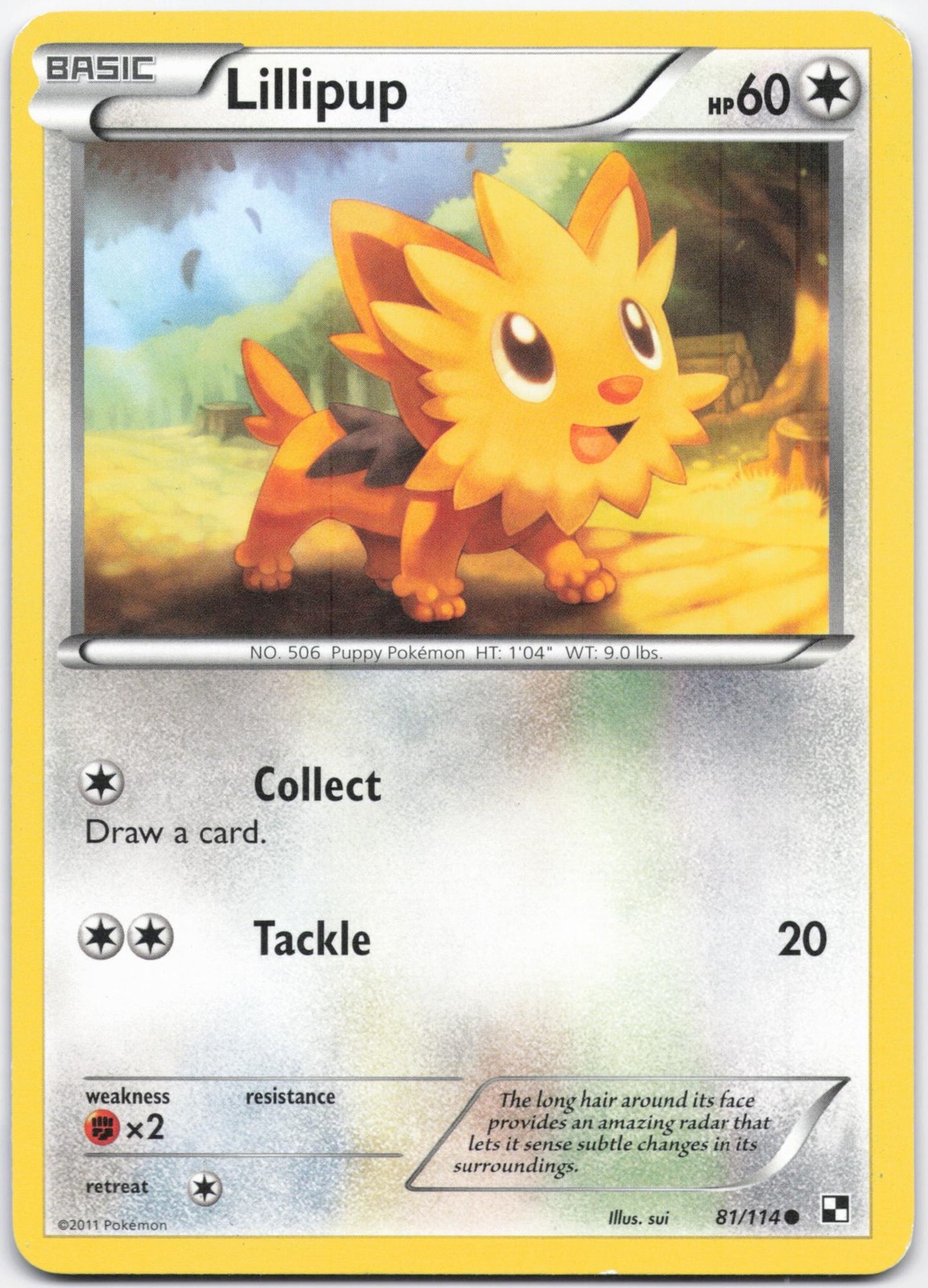 Lillipup 81/114 Common Black & White Pokemon Heavily Played