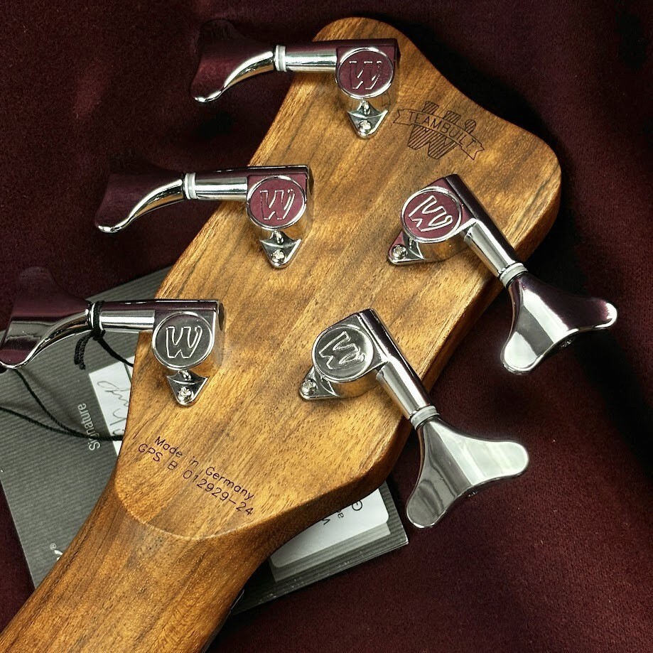 ベース warwick TeamBuild PS ThumbBass 5st NEW* Warwick Team Build PS Thumb Bass BO 5string TS *LEFTY