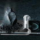 Foto 10 di 12