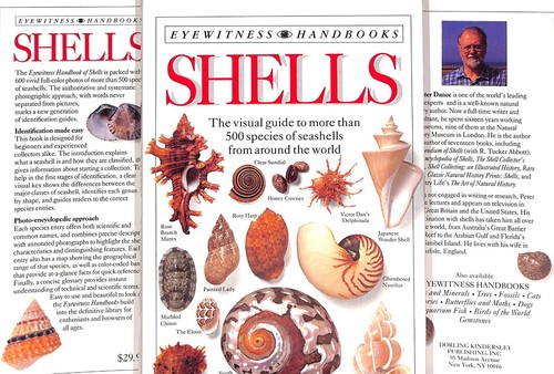 "Shells: The Visual Guide To More Than 500 Species Of Seashells" - Picture 3 of 12