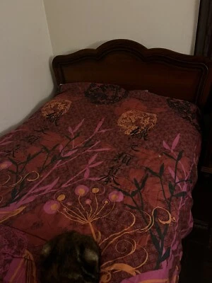 lit adulte et Chevet Chêne Macif - Photo 1/3
