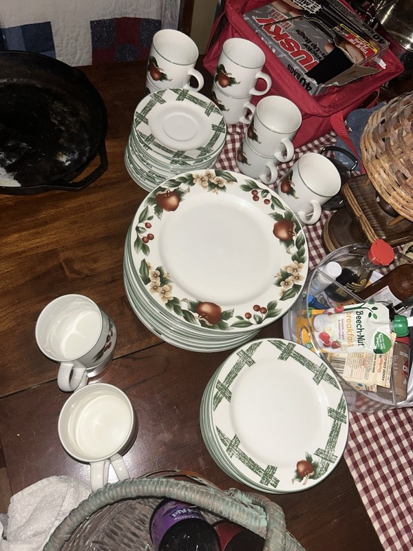 Citation Ceramic Fruit Dinner Set White/Green/Brown Plates & Cup Round