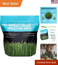 Wheatgrass Seeds - 1 Pound Non-GMO Nutritional Powerhouse for Indoor & Outdoor