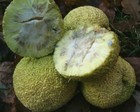 Foto 3 di 4