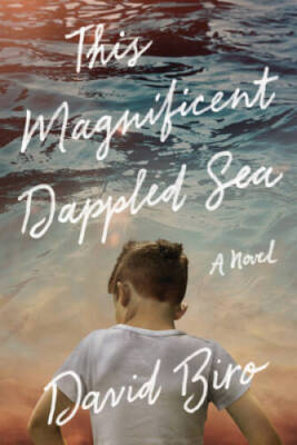 This Magnificent Dappled Sea: A Novel - Paperback By Biro, David - GOOD