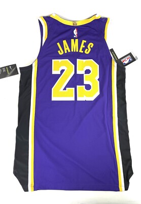 Nike Lebron James Los Angeles Lakers NBA Jersey Size 40 S Aj5197