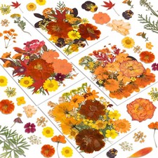 Resiners 100Pcs Dried Pressed Flowers for Resin, Soap, Candle, Scrapbook, Jewelr