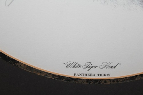 Guy Coheleach SIGNED "White Tiger Head" Panthera Tigris Lithograph Matted Framed - Picture 5 of 12