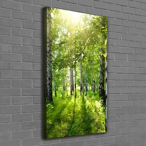 Leinwand Bild Kunstdruck Hochformat 60x1 Bilder Birkenwald Ebay