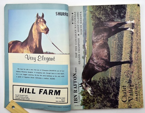 Arabian Horse World Magazine Vintage Back Issue October 1970 Vol 11 - Picture 5 of 12