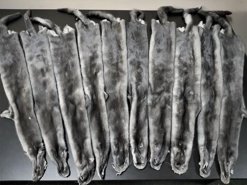 Blue iris mink pelts - Picture 2 of 10