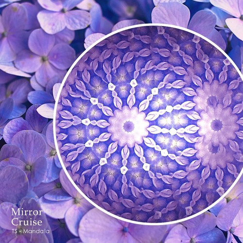 Teleidoscopio Mandala - Hecho a mano en Japón por Tomoo Hosono, mira telescópica coleccionable - Imagen 10 de 10