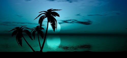 Tropical Palm Tree Graphic Mural Fit Tailgate RV Camper Motorhome Wall Graphics - Picture 3 of 12