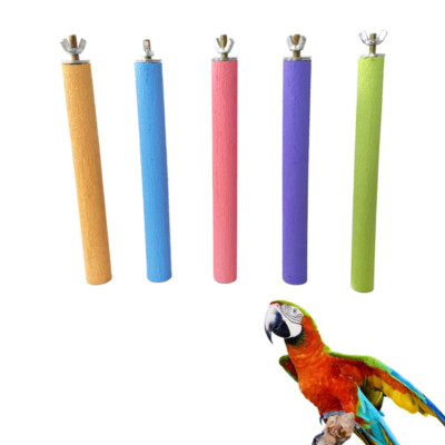 5 pièces meulage de la tige de bouche tendance support barre perroquet jeu bâton arénacé
