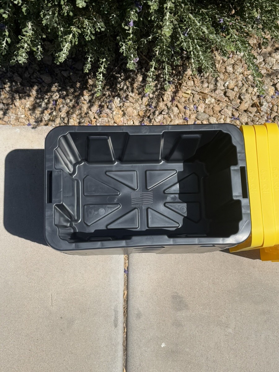 Viral 6.5 Qt Trendy TikTok Tough Totes Mini Container Bin