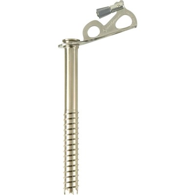 Black Diamond Express Ice Screw - 19 cm Eisschraube