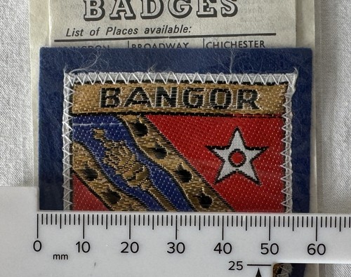 Vintage BANGOR Wales Woven Sew on SAMPSON'S Souvenir Cloth Patch Badge - Imagen 2 de 4