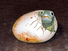 HFM - Baby Turtle Hatching from it's Egg FREE SHIPPING