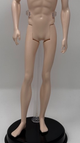 Twilight Breaking Dawn Dr. Carlisle Cullen DESNUDO Vampiro Modelo Pálido Musa Muñeca Ken - Imagen 6 de 12
