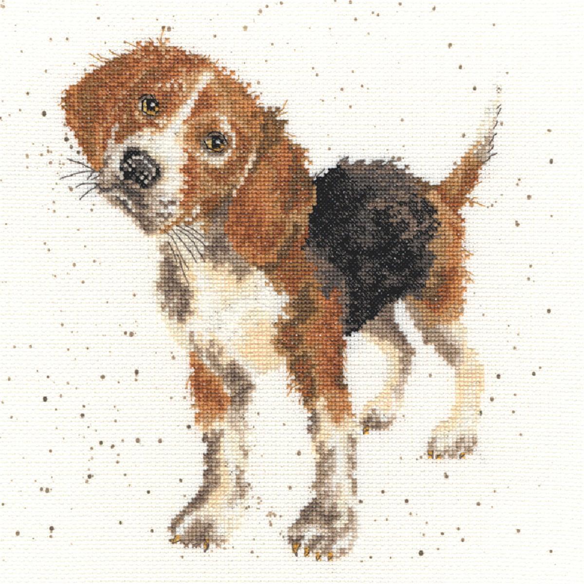 Bothy Threads counted cross stitch Kit ""Beagle"", 26x26cm, XHD12
