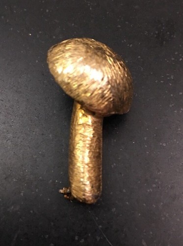 vans with mushrooms and flowers