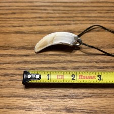 Arkansas Wild Razorback Tooth Pendant Necklace ( #6)
