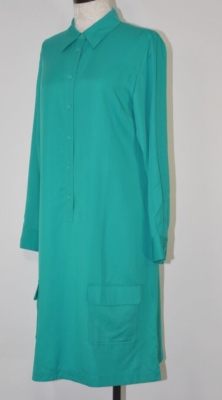green emerald velvet dress Patio In Paris Shift Dress In Green Curves – Impressions Online Boutique main image 0