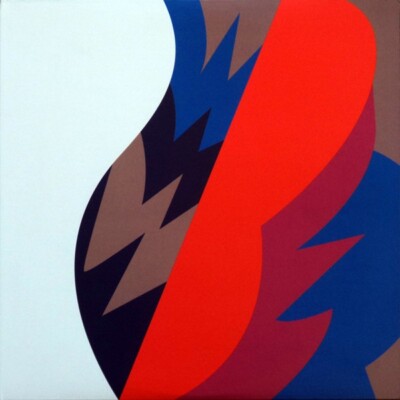 Fiery Furnaces - Remember - Limited Edition 3x LP Record - New - Ships Fast!!!