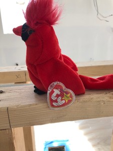 red bird beanie baby