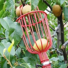 Best Garden Fruit Harvest Picker Metal Tong Padded Basket Red USA Free Shipping