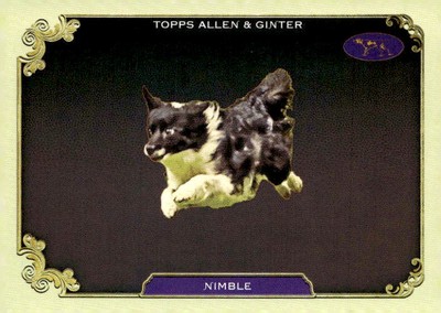 2024 Topps Allen & Ginter #SOS-34 Nimble