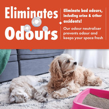 Spot Cleaning Solution Carpet Cleaner Shampoo (5L) Deep Cleaning... 3.57 per litre