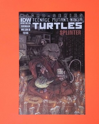 Teenage Mutant Ninja Turtles Micro-Series #5 2012 IDW Publishing RY86-118