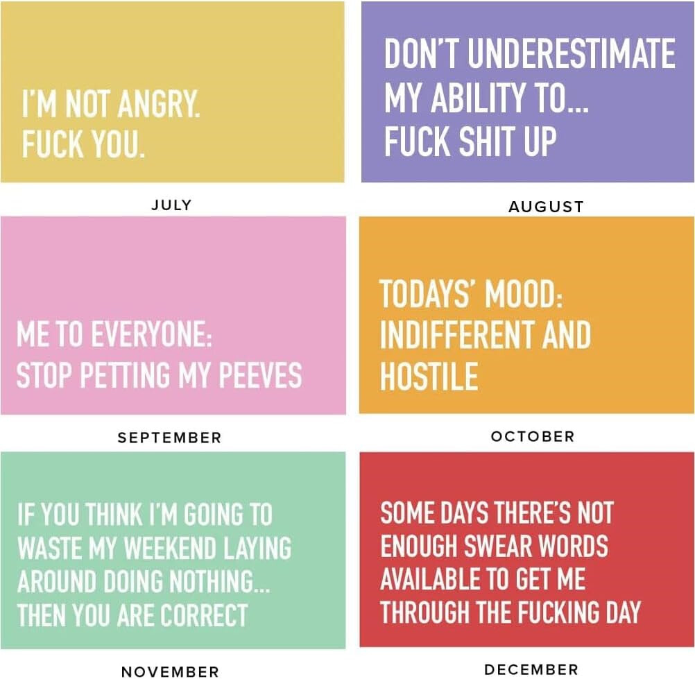 adulting-is-hard-2024-calendar-monthly-inspirational-wall-calendar-ebay