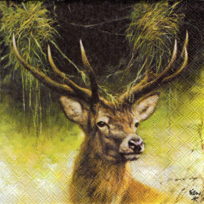 3 Servietten ~ Wilde Tiere, Hirsche, Porträt, RIEN Poortvliet ~ 33x33