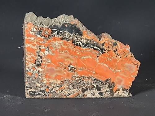 Petrified Wood Bookends Red & Black - Picture 7 of 11