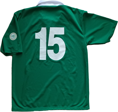 MAGLIA AVELLINO N° 15 MATCH WORN INDOSSATA SHIRT JERSEY