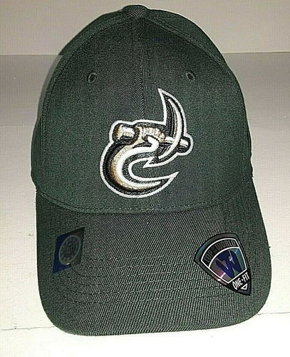 UNC Charlotte 49ers NCAA Green One Fit 