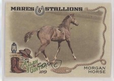 2019 Topps Allen & Ginter Mares and Stallions Morgan Horse #MS-5 2k3