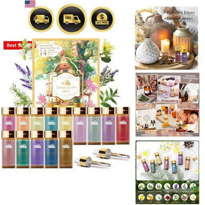Fragrance Oils Set - 14pcs, Aromatherapy Oils for Skin, Diffusers, Home Care,...
