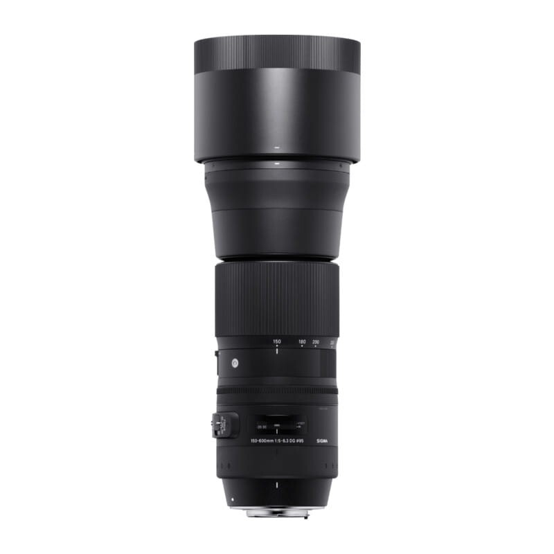 SIGMA 150-600mm F5-6.3 DG OS HSM contemporary for Nikon | eBay