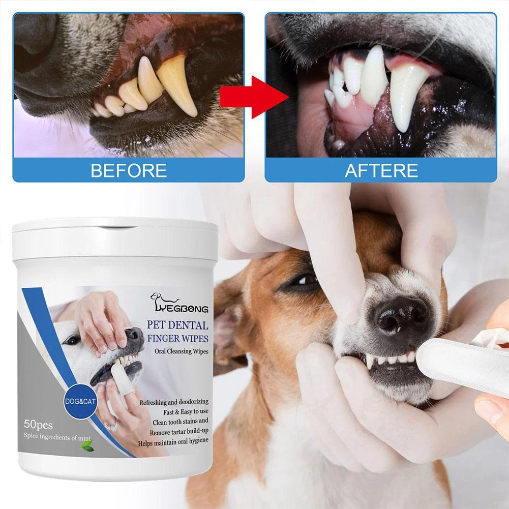 Dog teeth wipes sales