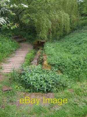 Foto 6x4 St Kenelm's Spring (Quelle des Flusses Stour) Rumbow Cottages c2008