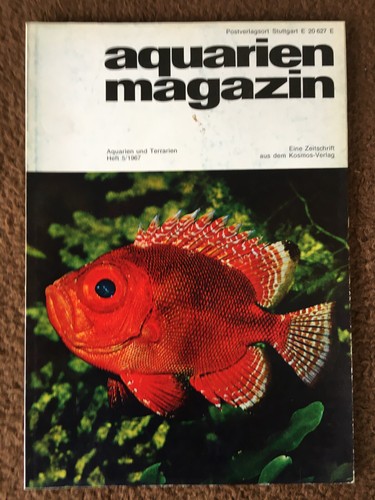 Aquarienmagazin 60er und 70er Jahre - Einzelhefte und komplette Jahrgänge - Picture 6 of 70