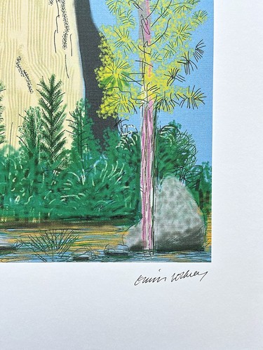 DAVID HOCKNEY - The Yosemite suit no. 22 - signed, numbered edition 29/500 - Picture 4 of 4