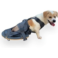 Pet Scooter Wheelchair for Rear Legs Paralyzed Dog Protects Chest  Limbs