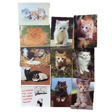 11 Postkarten AK Katzen Kätzchen Konvolut Ansichtskarte Gl. & Ungelaufen