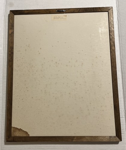 VTG Dennis Curry Lucid Lines Leopard Etching On Glass/Wood Frame 1976-17”x21.75” - Picture 6 of 8