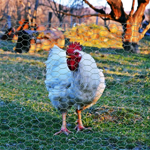Kiss Weaving Net Poultry Netting Cattle Fence Chicken Coop Wire Baby - Picture 8 of 12