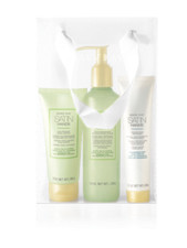 Mary Kay White Tea Citrus Satin Hands Pampering Set : Softener, Scrub, Cream